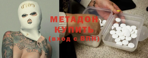 хмурый Аркадак