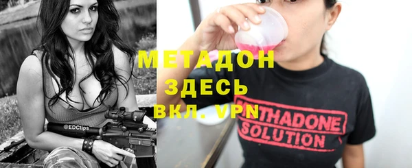 хмурый Аркадак