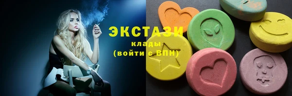 хмурый Аркадак