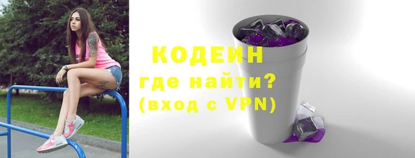 хмурый Аркадак