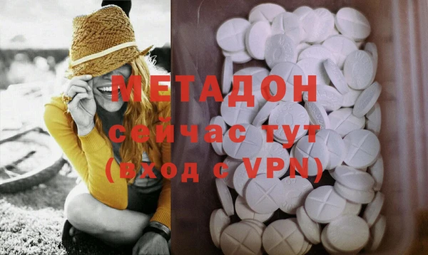 хмурый Аркадак