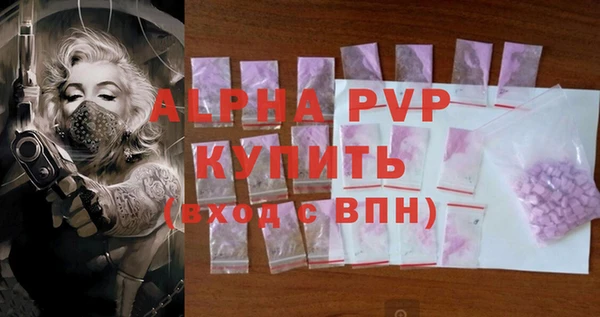 хмурый Аркадак