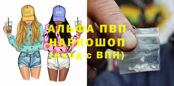 ПСИЛОЦИБИНОВЫЕ ГРИБЫ Арсеньев